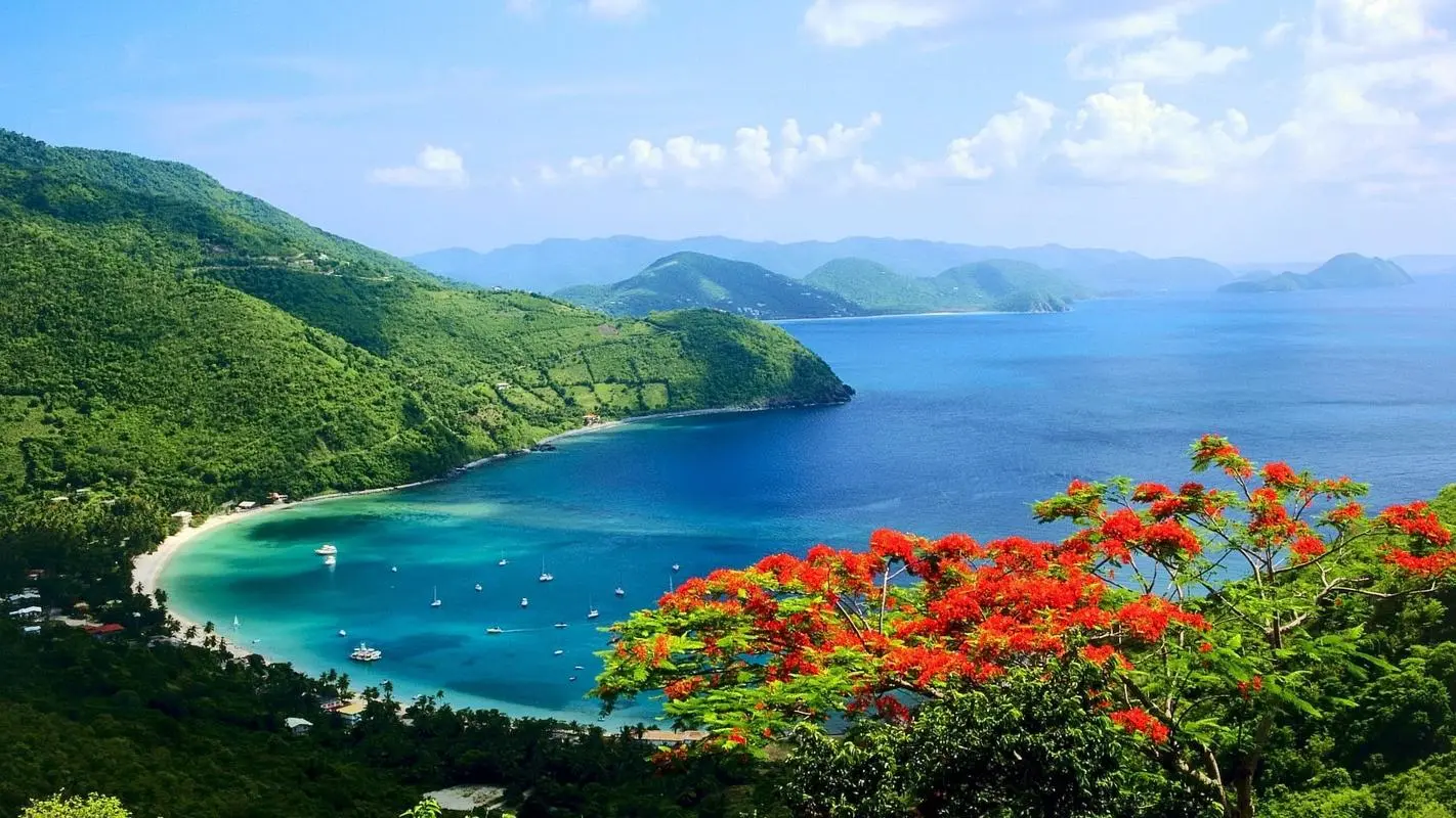创新自动化